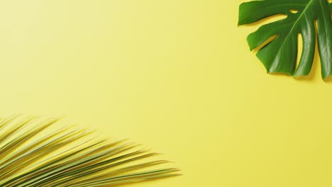 Green-monstera-and-palm-leaves-on-yellow-background-with-copy-space