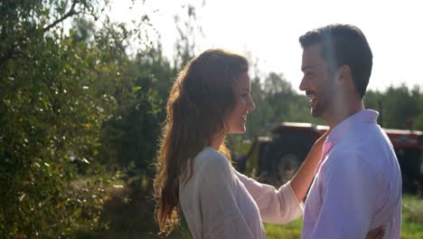 pareja romántica abrazándose en una granja de olivos 4k