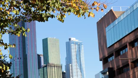 urban skyline with buildings and tree branches