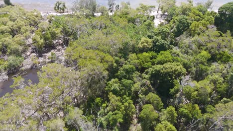 lush greenery meets tranquil coastal waters