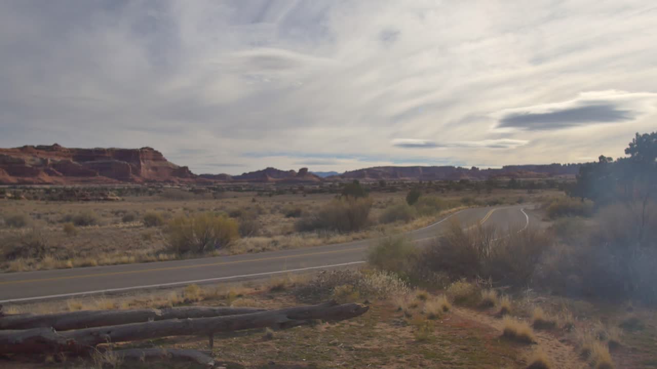 subiendo sobre un tronco retorcido de un árbol de enebro en el desierto de utah junto a la carretera abierta