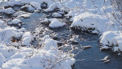 The-first-snow-is-powdered-over-the-low-bushes-and-withered-grass-on-the-banks-of-the-small-creek