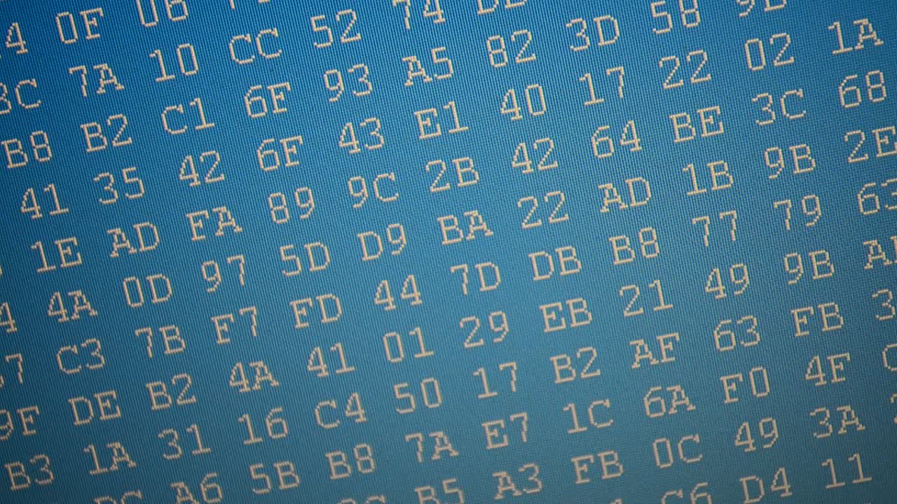 The ciphered file. The movement of a code binary in the form of the table. Hexadecimal program code on screen. Animated background of moving binary code numbers