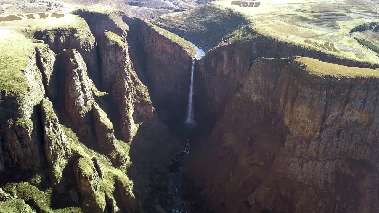 There's beauty all around us