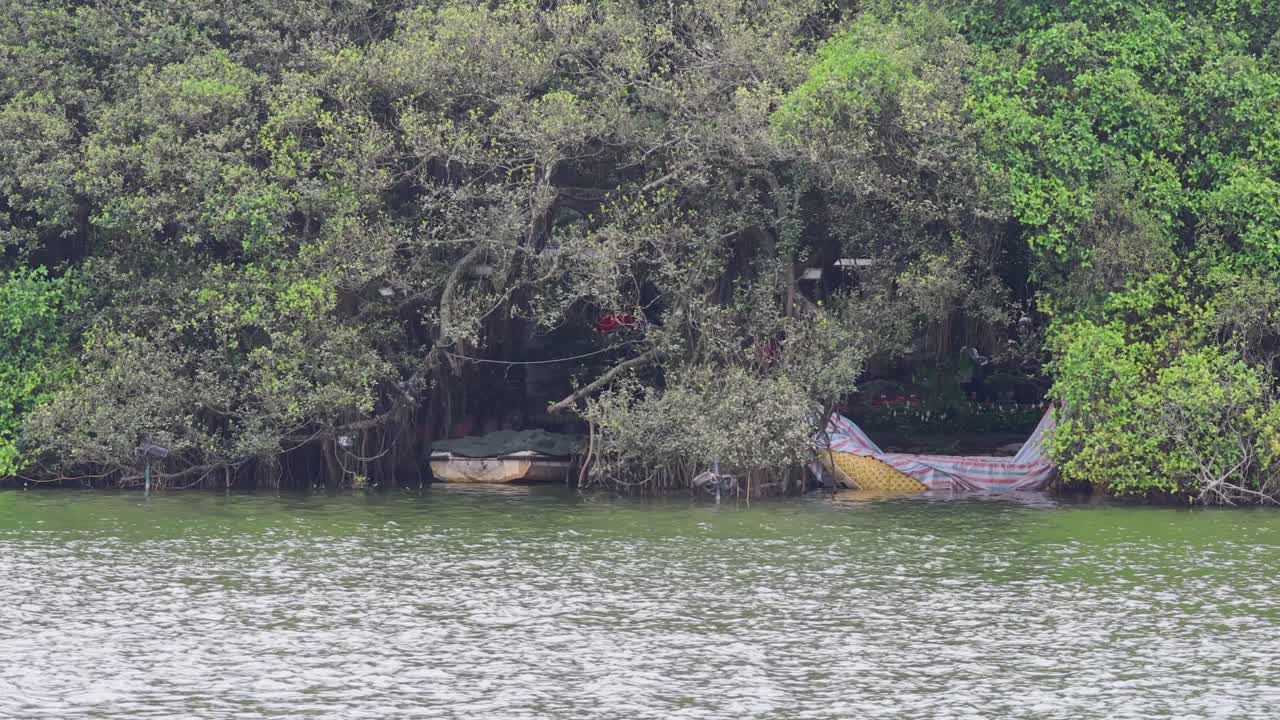 vista estática de un tranquilo paisaje ribereño
