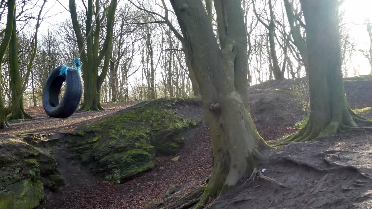 가을 숲 나무에 매달려 어린 시절 타이어 로프 스윙
