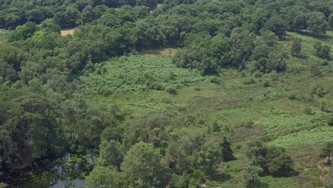 Luftschwenk-Nach-Links-über-Einen-Wunderschönen-Teich,-Der-In-Einem-Magischen-Wald-Versteckt-Ist,-Statische-Ernte