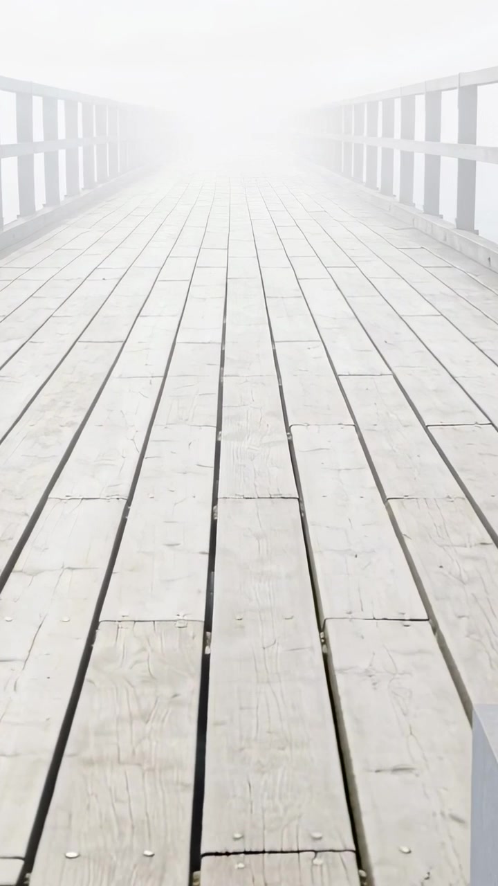Vertikal video: Bevægeligt kamera nærmer sig horisonten, viser en boardwalk, der forsvinder ind i tågen, planker dukker op