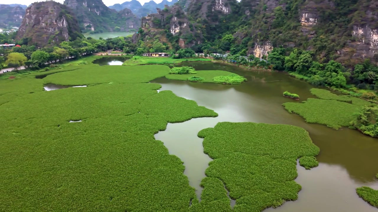 Cảnh quay drone xoay mượt mà về hệ sinh thái đất ngập nước nhiệt đới được bao quanh bởi núi đá vôi và cây xanh tươi tốt ở Ninh Bình.