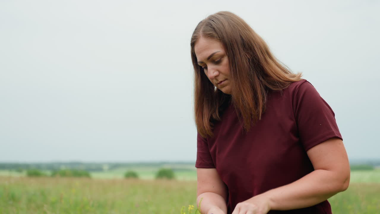 Female person carefully selects vibrant field blooms, Young girl and woman both collect wild meadow flowers peacefully, Girl and woman each gather naturally growing flowers with quiet attention