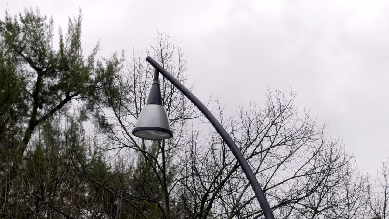Modern Black And Silver Street Light Trees On The Background Cloudy Sky