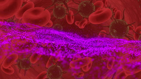 animación de la onda púrpura en las células en movimiento sobre fondo rojo