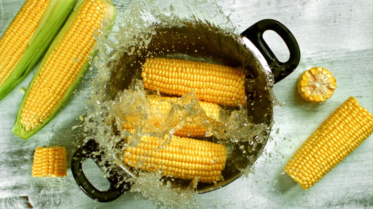 Slow Motion Water Splashing on Fresh Corn Cobs in a Pot