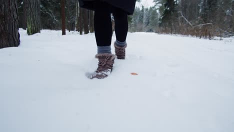 woman walking in the snow-covered forest