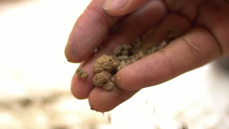 Closeup-Of-Hands-Processing-Madder-Root-Powder,-Natural-Organic-Herb-Plant-Used-For-Remedies-And-Dye