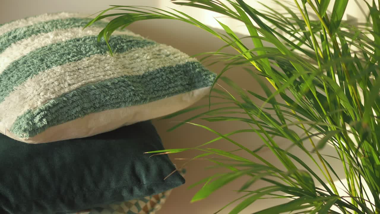 Pillows and a houseplant