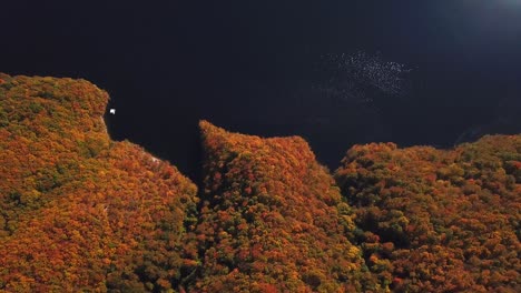 forward drone shot, top view, of lake tarnita, romania, surrounded by colorful autumn trees