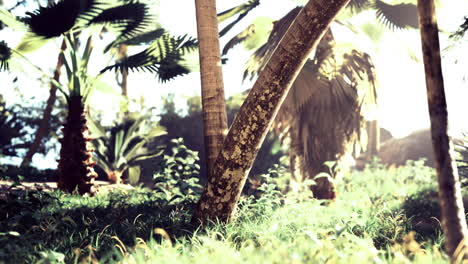 lush tropical landscape featuring palm trees and vibrant greenery at sunrise