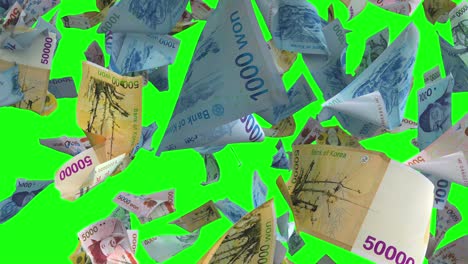 falling banknotes south korean won currency on green chroma key 4k loop