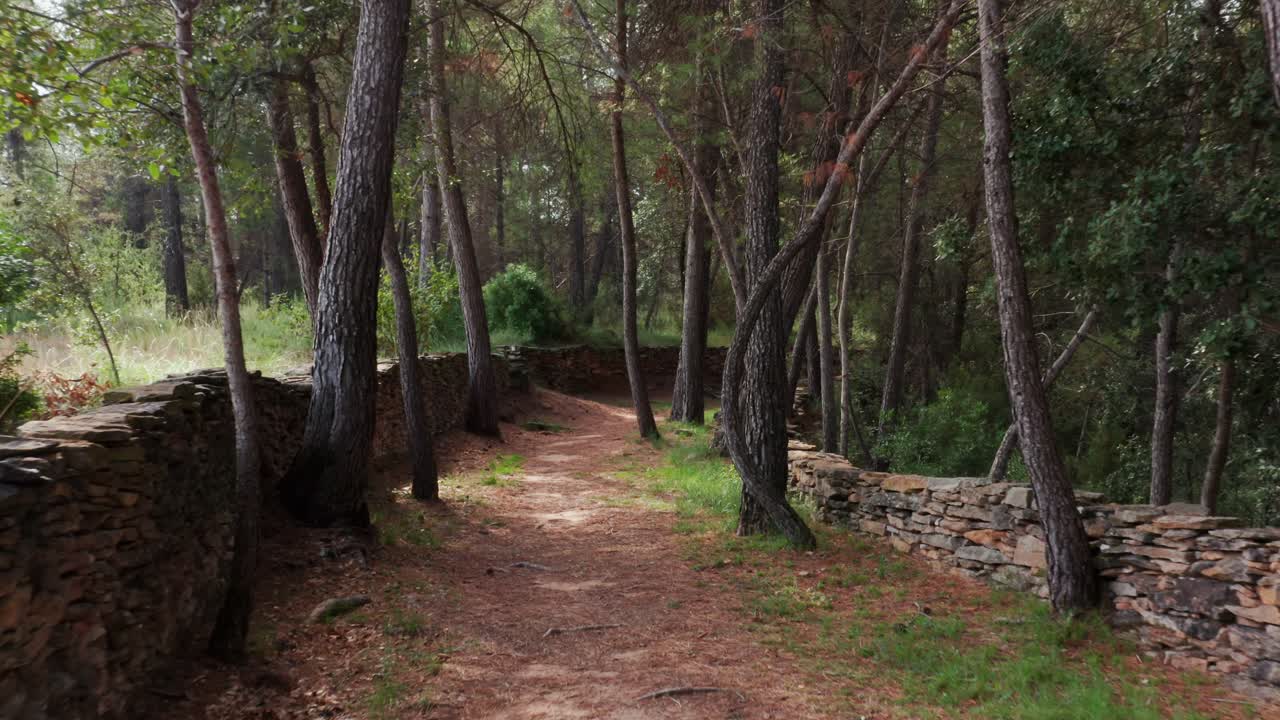 낮에는 울창한 숲으로 둘러싸인 중세 돌담이 있는 흙길을 걷는다