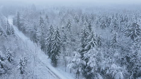 aerial view of car driving along remote rural snowy road in winter snow covered forest