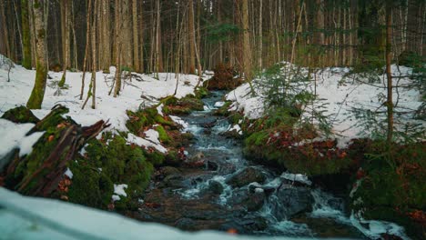 cinemagraph / seamless video loop of a cold white forest river in winter. bavarian alps in germany. the water is rushing through natural formed rocks with snow and ice. 4k uhd