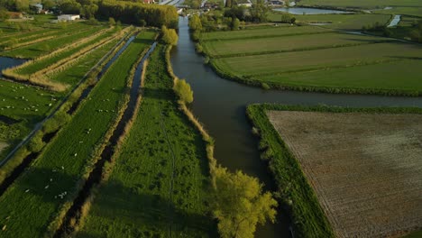 Vista-Aérea-De-Un-Pantano,-Cerca-De-Clairmarais,-Francia