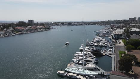 ships docked in harbor - busy marina