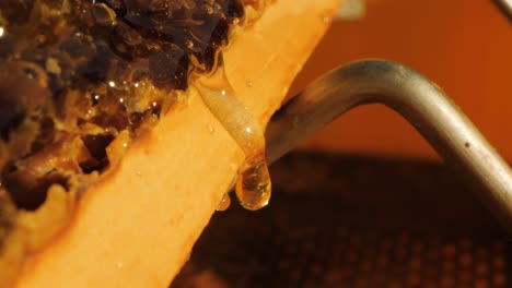slow motion close-up shot of honey dripping from a honeycomb