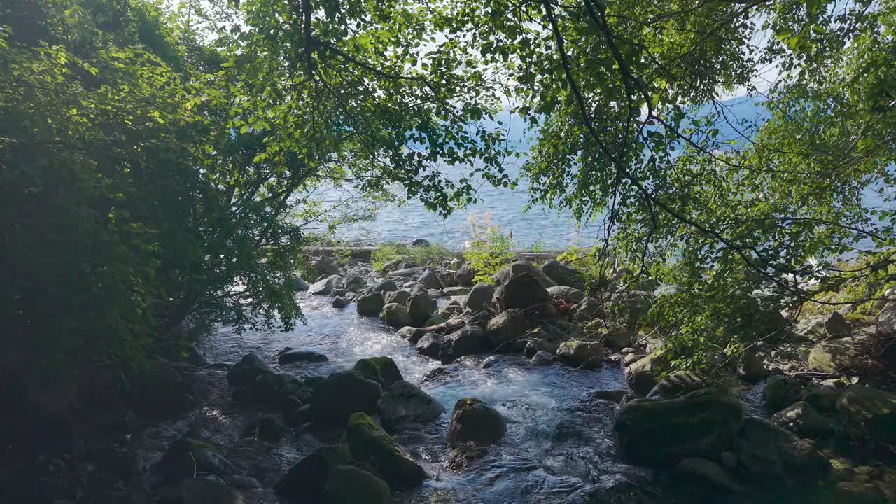 A calm river flows between large rocks, framed by dense trees and greenery. The sunlight filters through the leaves, creating a serene atmosphere in a natural setting