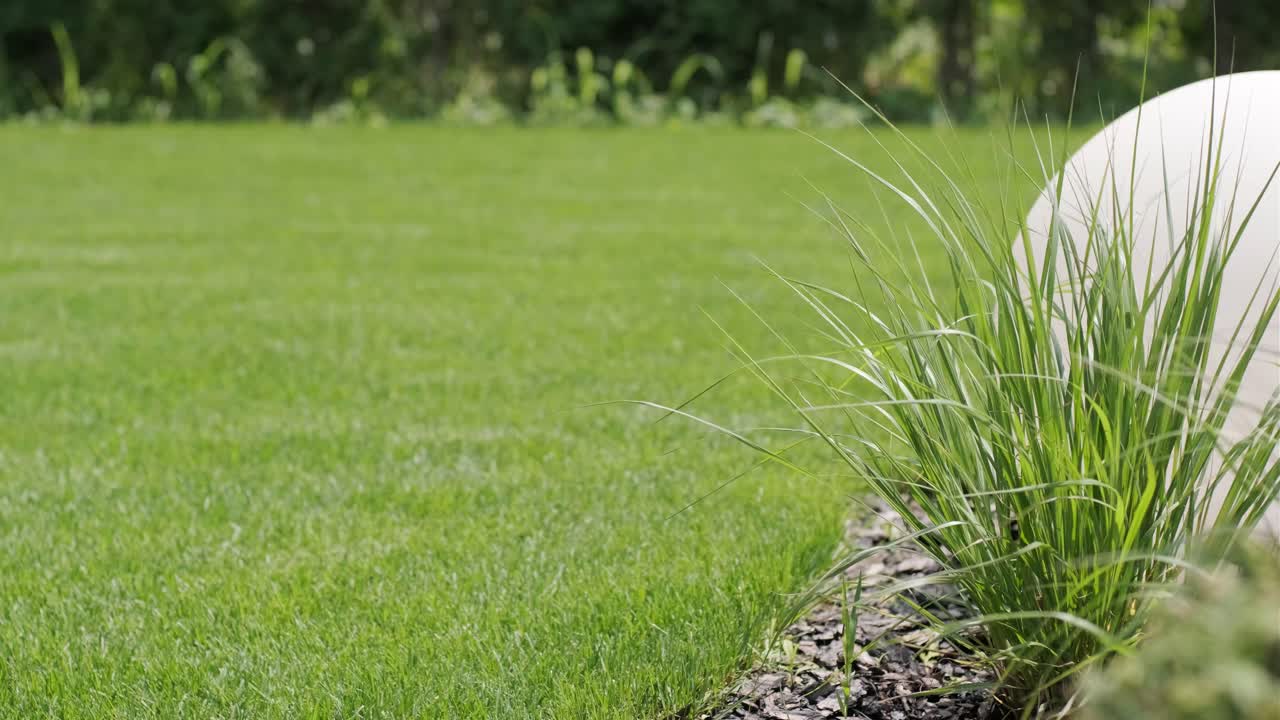 여름의 은 날에 개인 정원에서 초록색 잔디와 함께 잔디의 전망. 스웨덴.