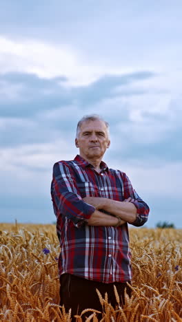 adult caucasian farmer in the ripe wheat field. man stands with hands folded on his chest looking proudly at camera. vertical video