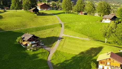 Aerial-view-of-wooden-chalet-houses-scattered-on-a-grassy-green-mountain-meadow-among-trees-in-swiss-alpine-village-of-grindelwald,-Switzerland-at-golden-hour