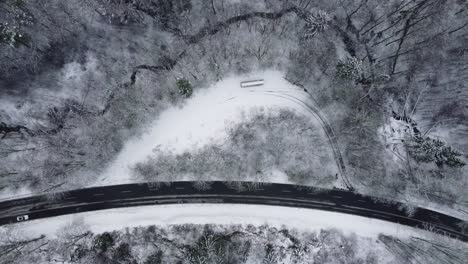 street and a small river in a forest in the winter