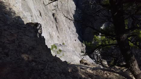 high voltage power lines over canyon reveal crab tilt