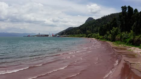 red beach in fuxian lake in yunnan, china.