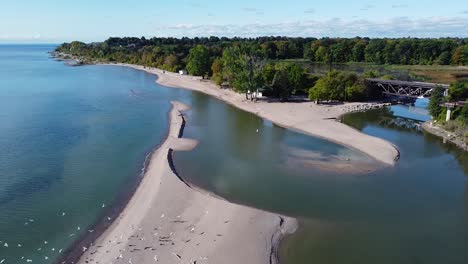 lago ontario frente al mar agua dulce clara, playas, pájaros, senderos para caminar y ferrocarril