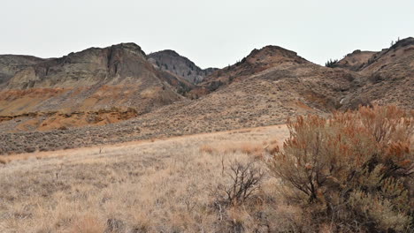 windswept grasslands at the foot of cinnamon ridge