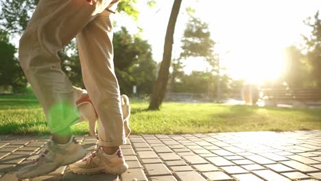 pug walks in the park with female owner leading the leash. lens flares