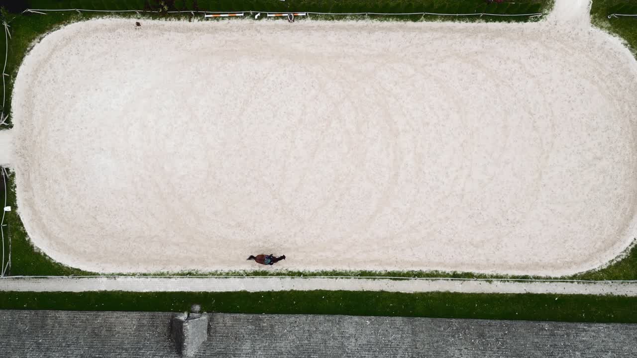 안정 근처 목장에서 걷고 방목하는 말