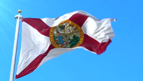 bandera del estado de florida, región de los estados unidos - bucle