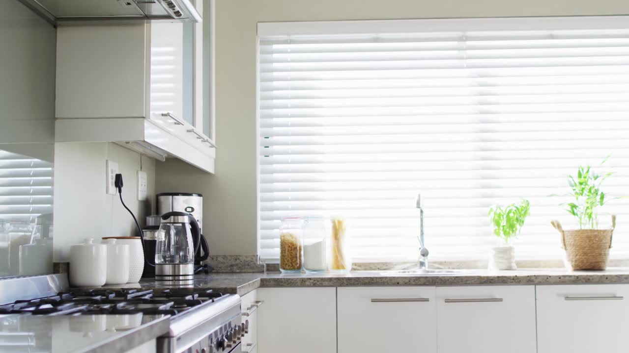 interior de la cocina con plantas y hervidor eléctrico en la mesa.