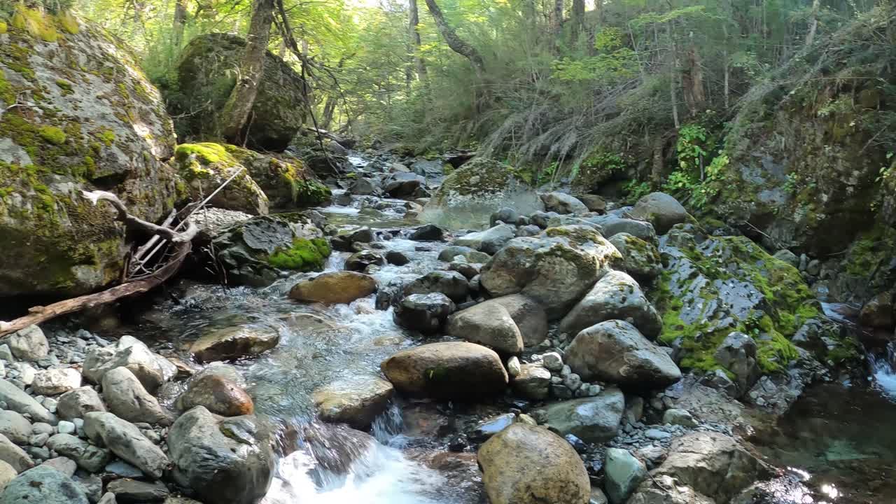 Getting fresh natural water from a small stone stream