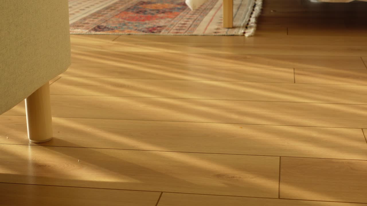 Interior shot of wood floor and furniture