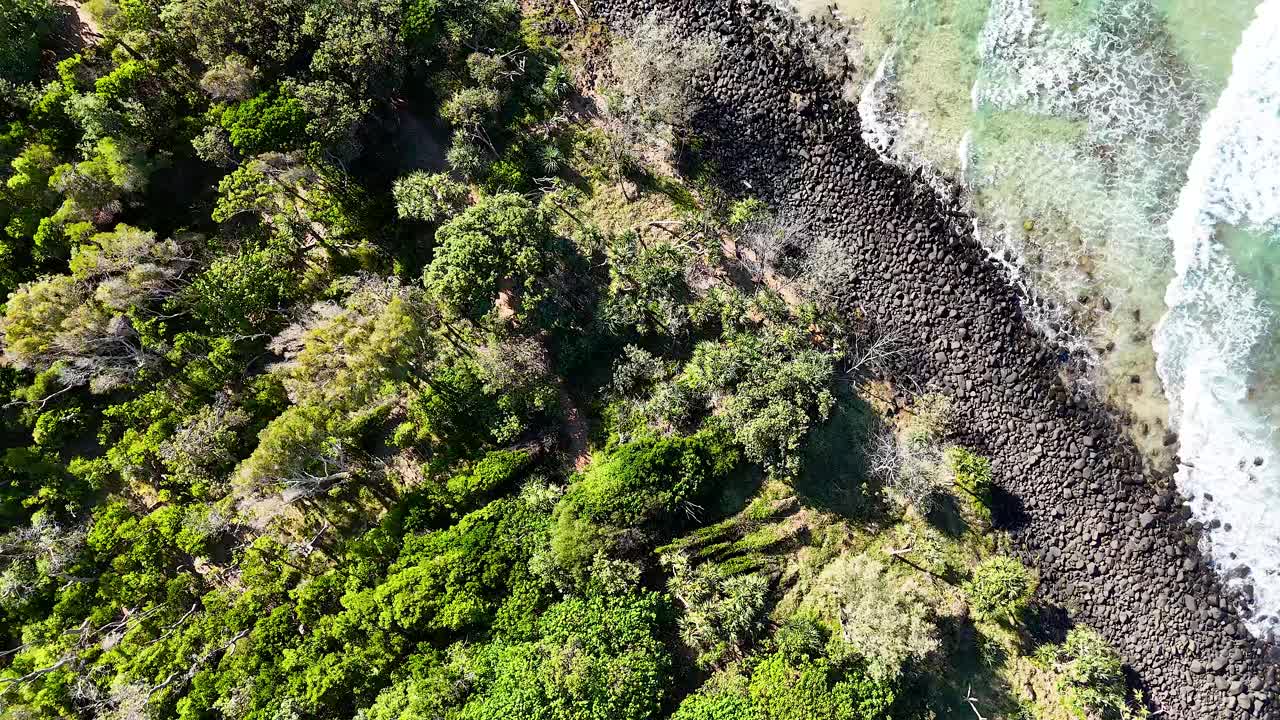la exuberante vegetación se encuentra con la costa rocosa y las olas del océano.