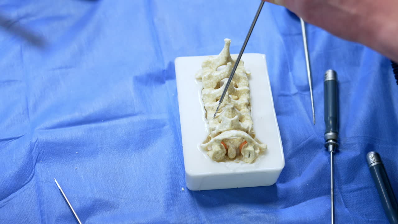 Medical tool is applied to the plastic dummy of spine. Students are practicing to perform neurosurgical operations on the model. Close up.