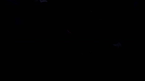 merry christmas reveal 01