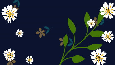 animación de flores y hojas que caen sobre un fondo negro