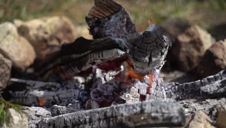 detail of a bonfire.