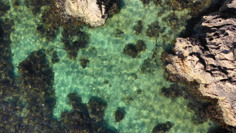 vista aérea de agua cristalina y costa rocosa de coral cerca de melbourne, australia